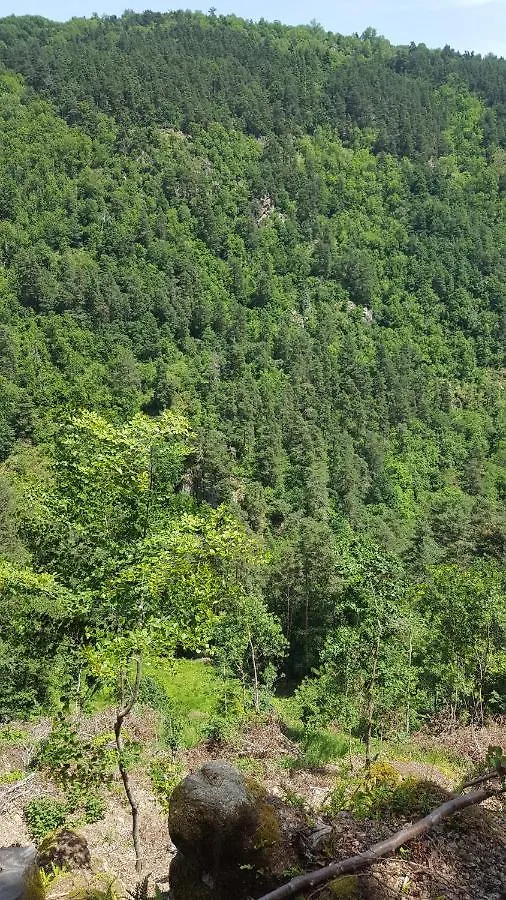Se Reconnecter A La Nature Au Gite 3 Etoiles De Montager A Saint Andre De Chalencon France