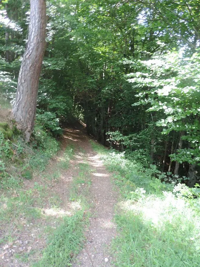Se Reconnecter A La Nature Au Gite 3 Etoiles De Montager A Saint Andre De Chalencon Saint-Andre-de-Chalencon