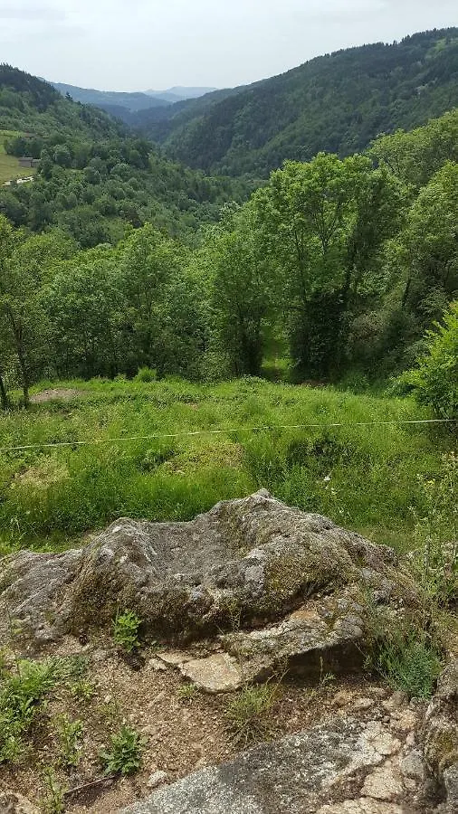 Holiday home Se Reconnecter A La Nature Au Gite 3 Etoiles De Montager A Saint Andre De Chalencon