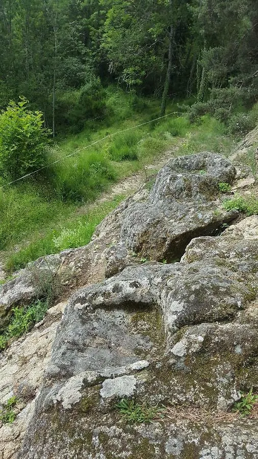 Se Reconnecter A La Nature Au Gite 3 Etoiles De Montager A Saint Andre De Chalencon Holiday home Saint-Andre-de-Chalencon