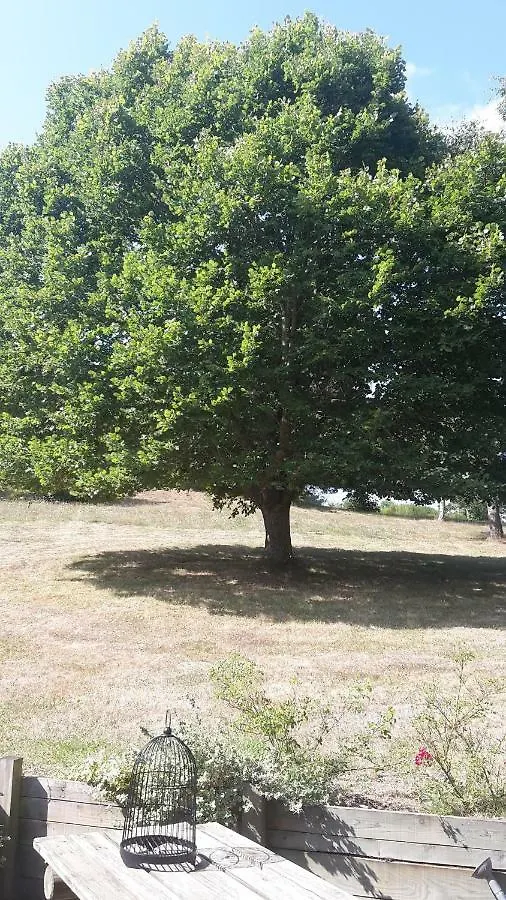 Se Reconnecter A La Nature Au Gite 3 Etoiles De Montager A Saint Andre De Chalencon