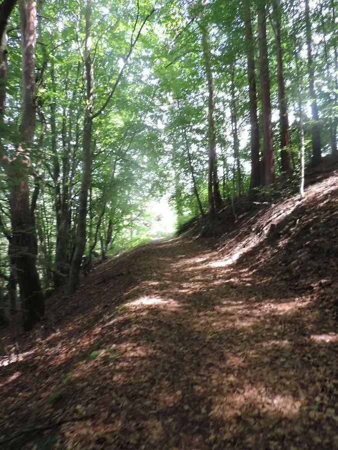 Se Reconnecter A La Nature Au Gite 3 Etoiles De Montager A Saint Andre De Chalencon