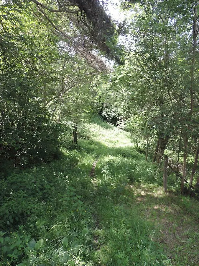 Se Reconnecter A La Nature Au Gite 3 Etoiles De Montager A Saint Andre De Chalencon France
