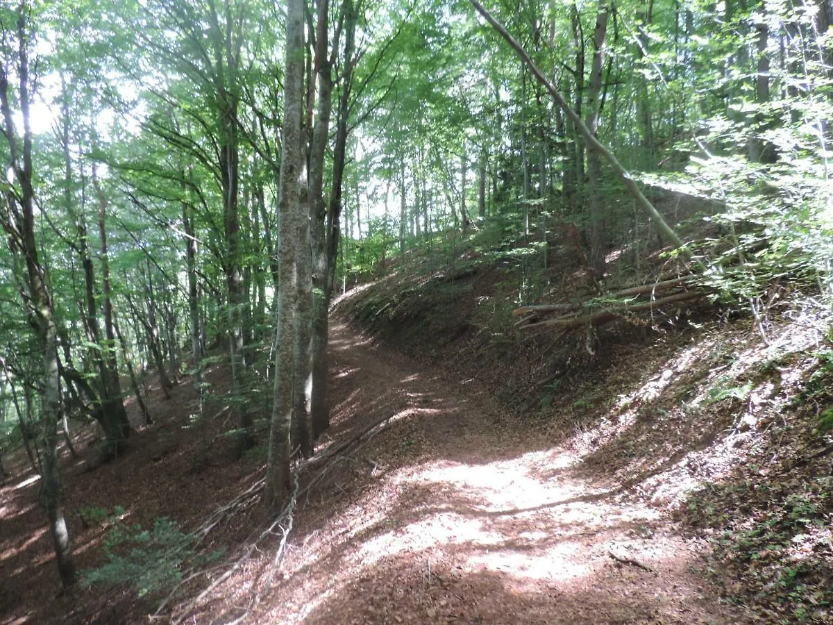 Holiday home Se Reconnecter A La Nature Au Gite 3 Etoiles De Montager A Saint Andre De Chalencon