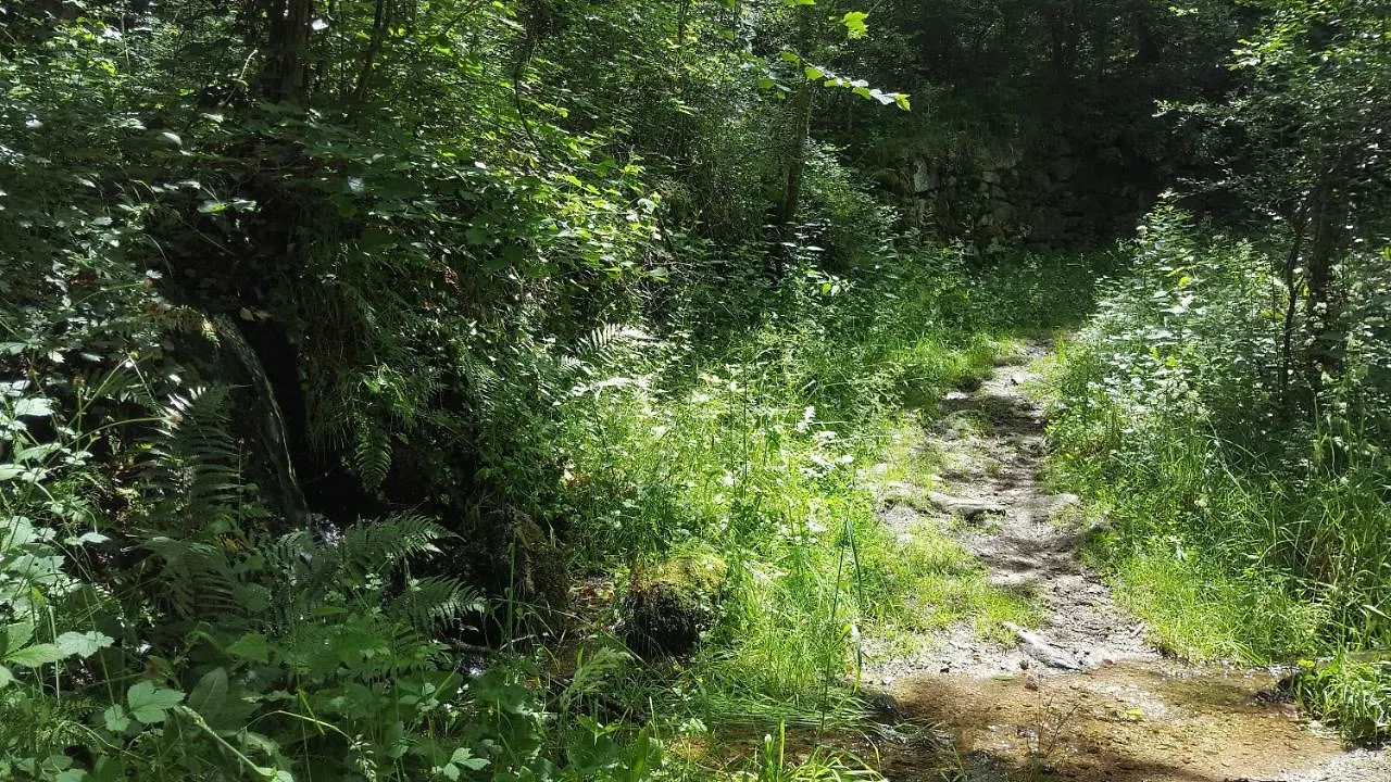 Se Reconnecter A La Nature Au Gite 3 Etoiles De Montager A Saint Andre De Chalencon