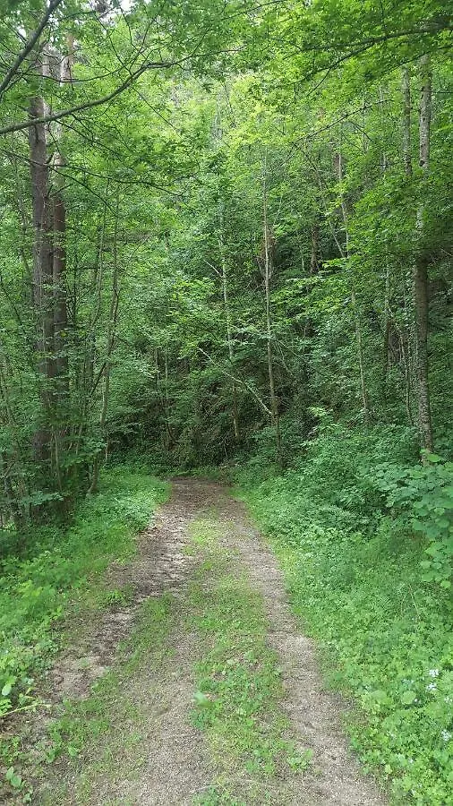 Se Reconnecter A La Nature Au Gite 3 Etoiles De Montager A Saint Andre De Chalencon 0*, Saint-Andre-de-Chalencon