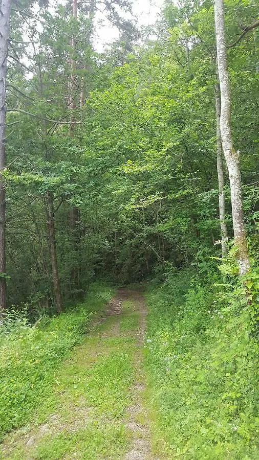 Se Reconnecter A La Nature Au Gite 3 Etoiles De Montager A Saint Andre De Chalencon France